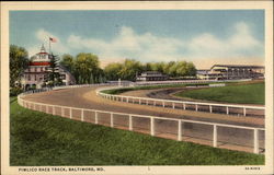 Pimlico Race Track Postcard