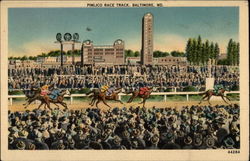 Pimlico Race Track Baltimore, MD Postcard Postcard