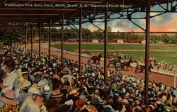 Washington Park Race Track, "America's Finest Stand" Postcard