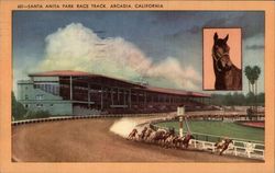 Santa Anita Park Race Track Arcadia, CA Postcard Postcard