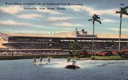 Water-Skiing on Infield Lake at Gulfstream Park Race Course Postcard