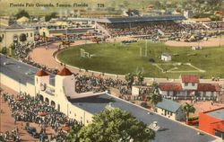 Florida Fair Grounds, Tampa, Florida Postcard Postcard