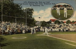 Watching the "Kids and Cubs" Three -Quarter Century Ball Clubs, Waterfront Park St. Petersburg, FL Postcard Postcard