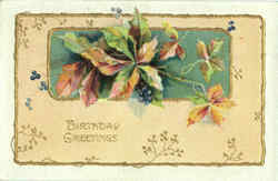 Birthday Greetings Postcard