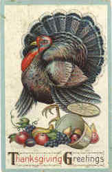 Thanksgiving Greetings Postcard