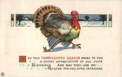 Happy Thanksgiving Postcard