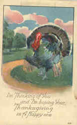 Thinking of You on Thanksgiving Postcard