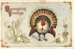 Thanksgiving Greetings Postcard