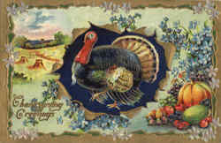 Thanksgiving Greetings Postcard