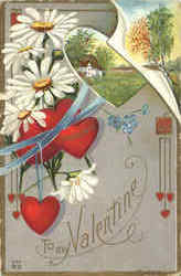 Hearts To My Valentine Postcard