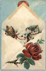 Kittens Postcard