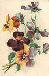 Flowers Postcard