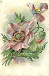 Flowers Postcard Postcard