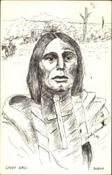 Chief Gall, Sioux Postcard