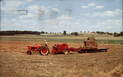 Harvest of Hay Postcard