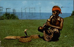 Ceylon: Snake Charmer With Cobra Sri Lanka Snakes & Reptiles Postcard Postcard