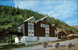 Black Forest Inn Postcard