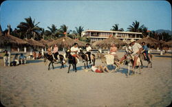 Burro Polo Game Postcard