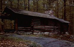 Standard Cabin Postcard