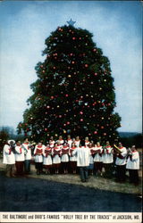 The Baltimore and Ohio's Famous "Holly Tree by the Tracks" Jackson, MD Postcard Postcard