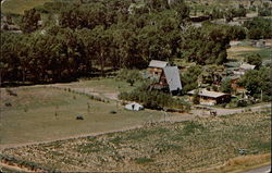 Fort Ponderosa Postcard