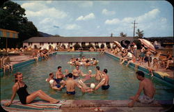 Fernwood-the swimming pool Bushkill, PA Postcard Postcard