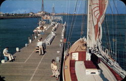 Pier at inlet Postcard