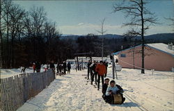 Tobogganing at Pocmont Postcard