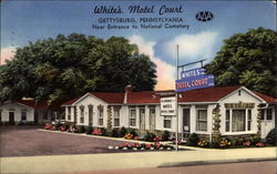 Whites Motel Court Postcard