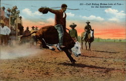 Calf Riding Makes Lots of Fun for the Spectators Rodeos Postcard Postcard