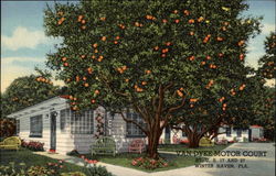 Van Dyke Motor Court Winter Haven, FL Postcard Postcard