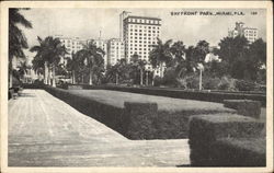 Bayfront Park Miami, FL Postcard Postcard