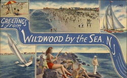 Greetings from Wildwood by the Sea Postcard