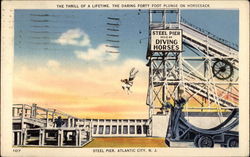 The Thrill of a Lifetime, The Daring Forty Foot Plunge on Horseback, Steel Pier Postcard