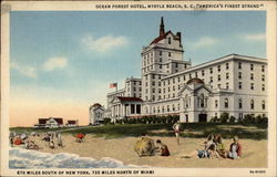 Ocean Forest Hotel Postcard