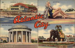 View of Four Attractions Postcard