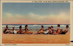 A "Tug of War" on the Beach Geneva-on-the-Lake, OH Postcard Postcard