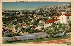 Hillside Homes in Hollywoodland Postcard