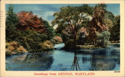 Greetings from Denton, Maryland Postcard Postcard