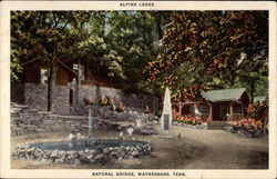 Alpine Lodge at Natural Bridge Postcard