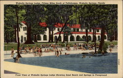 Wakulla Springs Lodge Postcard