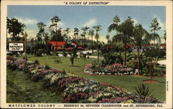 Mayflower Colony Postcard