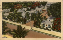 Cactus Terrace Key West, FL Postcard Postcard