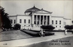 Shedd Aquarium Postcard