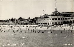 View of the Beach Postcard