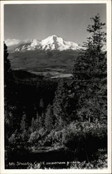 Mt Shasta Postcard