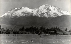 Mt. Shasta Mount Shasta, CA Postcard Postcard