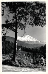 Mt. Shasta from Near Dunsmuir Mount Shasta, CA Postcard Postcard