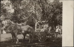 Women in a cart pulled by horses Postcard