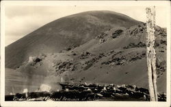 Fire Cinder Cone and Charred Remains of Forest Postcard